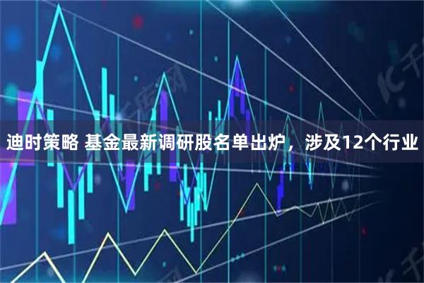 迪时策略 基金最新调研股名单出炉，涉及12个行业